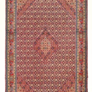 Perserteppich - Nomadic - 292 x 200 cm - rost