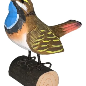 Vogel stehend - Blaukehlchen