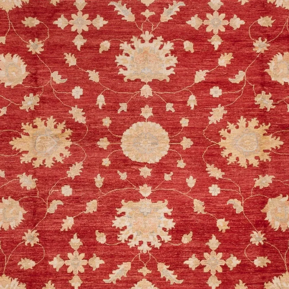Ziegler Teppich - 496 x 362 cm - rot