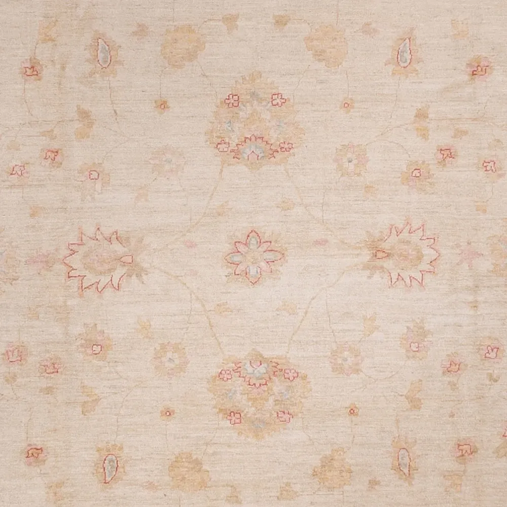 Ziegler Teppich - 538 x 350 cm - beige