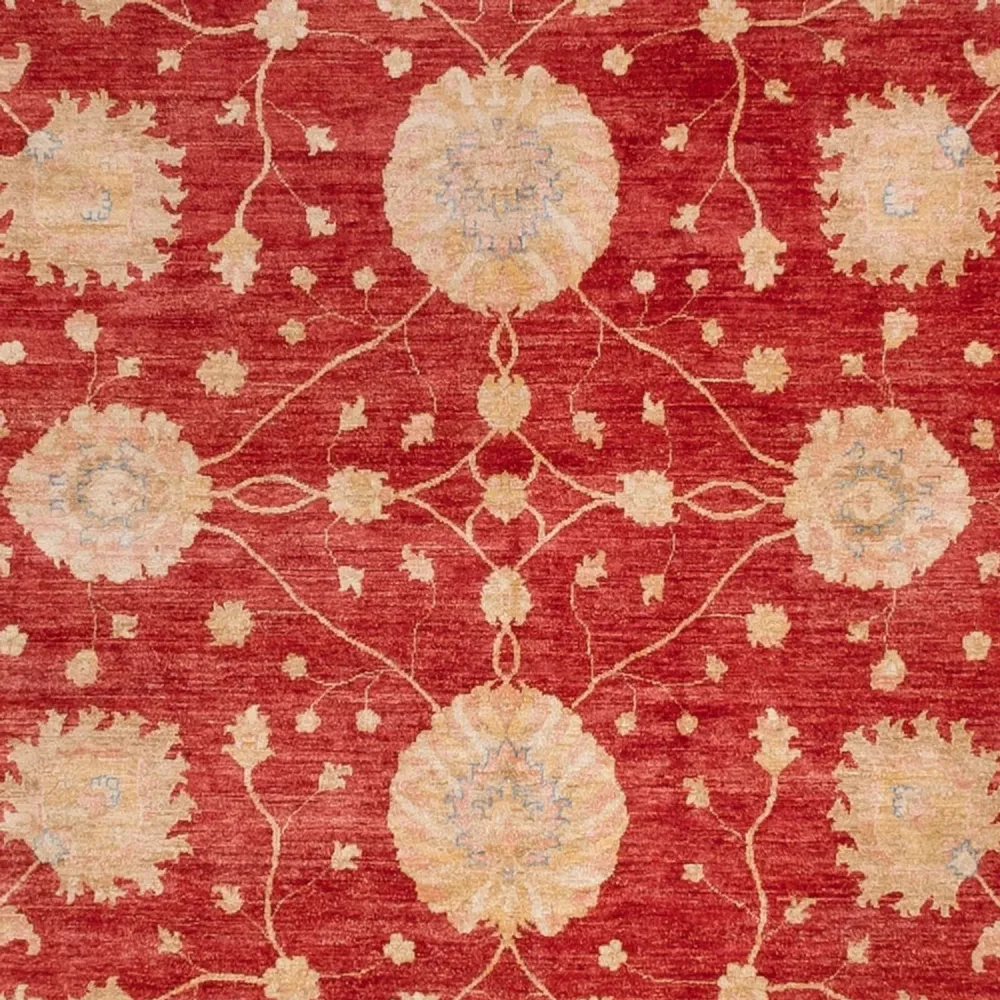 Ziegler Teppich quadratisch - 392 x 403 cm - rot