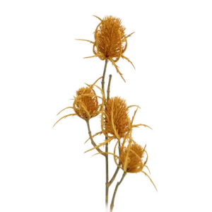 Distel 'Tease' hellbraun