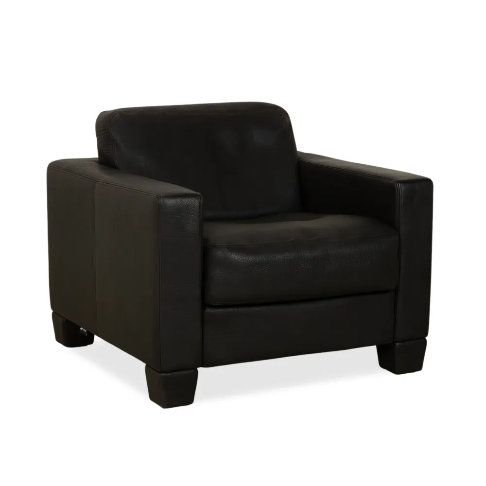 de Sede DS-270 Leder Sessel Schwarz Schiefer