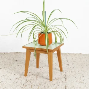 Vintage Beistelltisch Blumentisch Couchtisch Holz